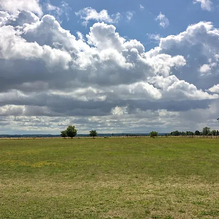 Philipp - Ruhe&meer Apartment Nienhagen